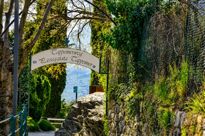 Mit Wanderführerin auf Tappeinerpromenade und Waalweg