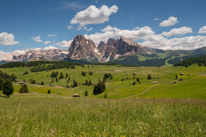 Ihre Wanderführerin – auf der Seiser Alm, in den Dolomiten unterwegs